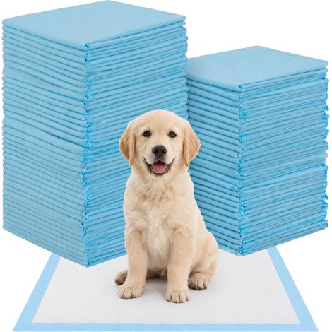 Alèse Jetable pour Chien (100 Pièces) 60x60cm, Tapis Éducateur (1/5)