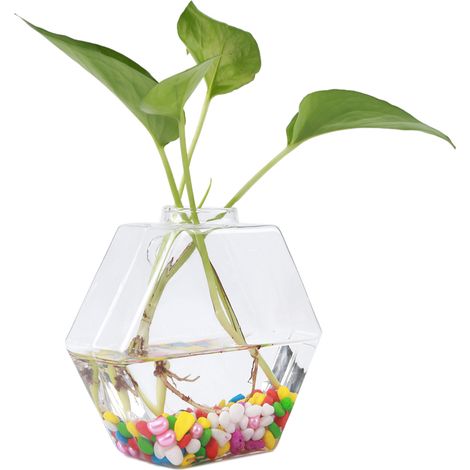 Hängepflanzen, Blumen, Glasvase, wandmontierter Hydrokultur-Aquariumbehälter, Wohndekoration 3