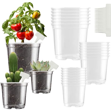Blumentöpfe – 36 Stück – Transparenter Kunststoff – Mit Abflussloch – Für Orchideen und Sukkulenten – 9 cm, 10,5 cm, 12,5 cm (1/5)