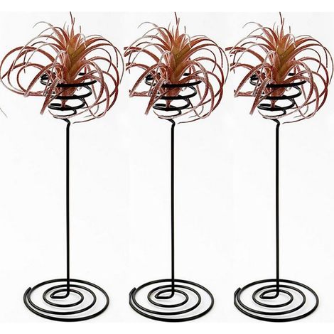 Air Plante support Air Plante récipient de base de table Pot de fleurs Pot de fleurs Tillandsia étagère - 3-Fei Yu (1/5)
