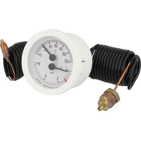Thermomanomètre Flora BEF