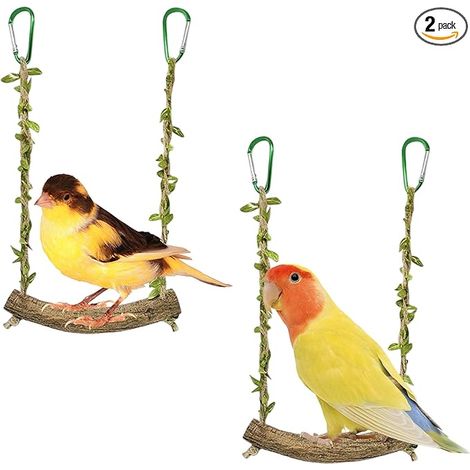 Perchoir Perroquet,BalançOire pour Oiseaux,Jouet Perruche (1/5)