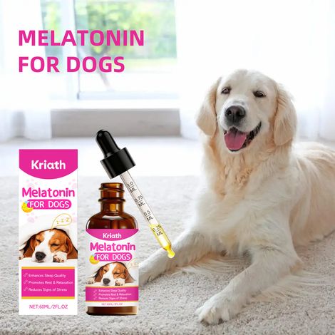 Soin de toilettage pour chien – doux et nourrissant pour votre animal, favorisant un sommeil paisible et réparateur. Solution de toilettage quotidienne – 60 ml -- AUTLEAD (1/5)