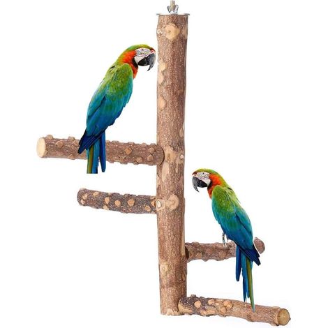 Perchoir pour perroquet en bois naturel, support d'activité, jouet de dentition, plateforme pour cage à oiseaux, aire de jeux pour animaux de compagnie