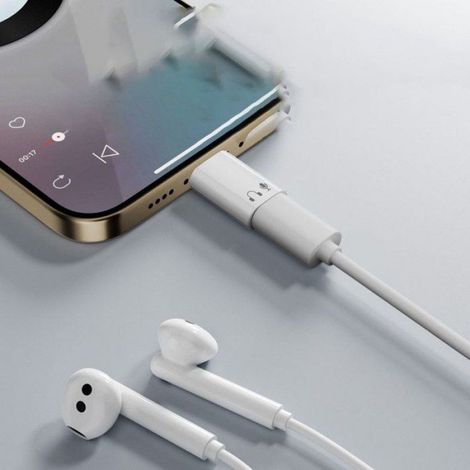 Adaptateur Lightning Femelle vers USB-C Mâle en Aluminium pour Écouteurs - Connecteur Droit - Audio Hi-Fi Gris (1/5)