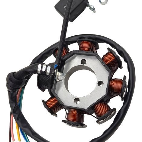 Ignition accessories for BAJAJ135, PULSAR135 and ROUSER135 motorcycles (1/2)