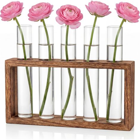 Vase Decoratif Petits Vases en Tubes à Essai avec Support en Bois Vase Fleur pour Plantes Hydroponiques Decoration Maison pour Table Bureau Salon Cuisine (1/5)