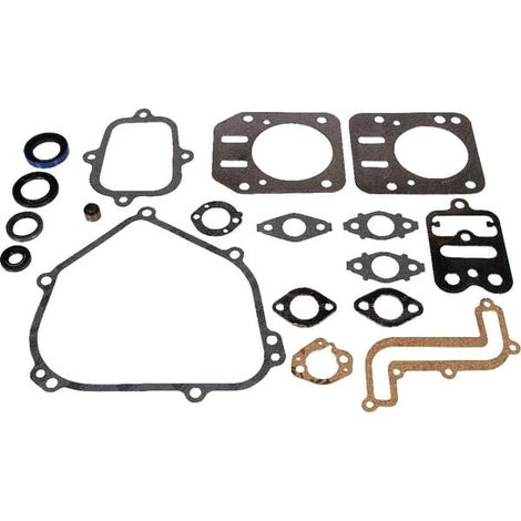 Guarnizioni motore BRIGGS ET STRATTON 791797