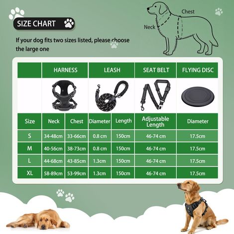 Harnais pour Chien Réglable avec Laisse et Ceinture de Sécurité, Ensemble de Promenade Complet pour Animaux de Compagnie