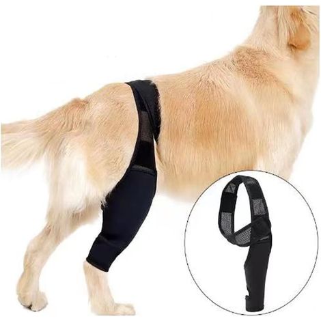 Genouillère pour chien, attelle de soutien articulaire pour patte, aide à la récupération et soulagement, orthèse noire (1/5)