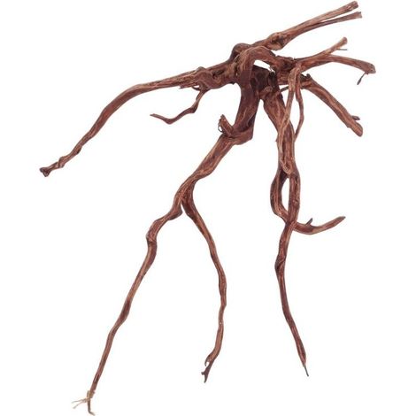 XL Red Spider Wurzel Nr.4627 Fingerwurzel Echtholz Deko Aquascaping