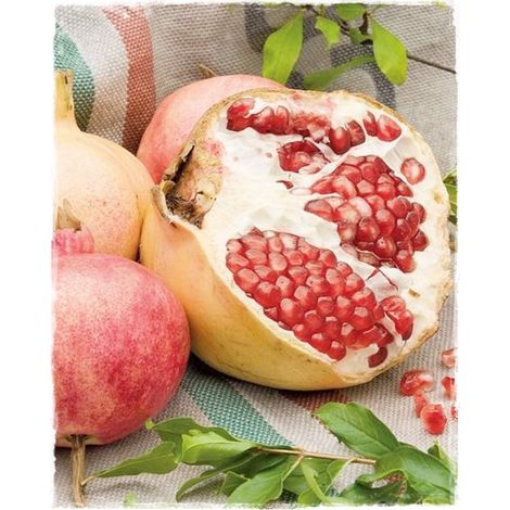 1 plant /tree (approx 1m) - Pomegranate (d cavallo)
