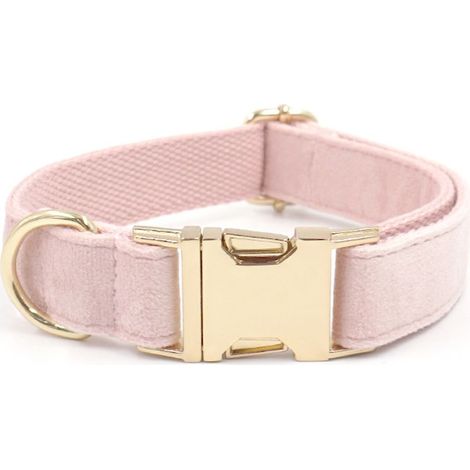 Hundehalsband – Leine und Halsband aus pflanzlich gegerbtem Leder – Schnalle aus roségoldener Zinklegierung – Für mittelgroße Hunde – 2-teiliges Set (1/5)