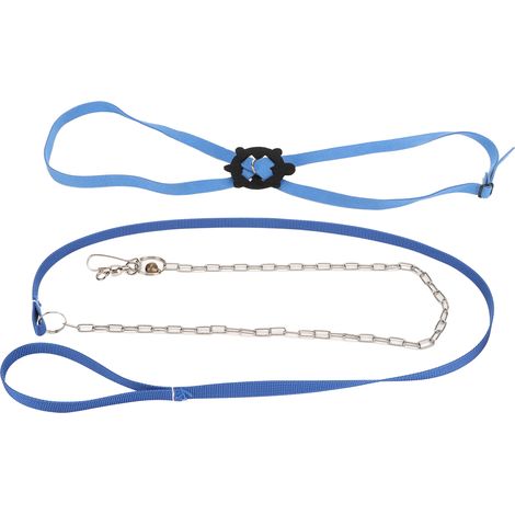Harnais pour tortue, laisse réglable, respectueux de la peau, pour animaux de compagnie, Reptile, pour l'extérieur, bleu L (1/5)