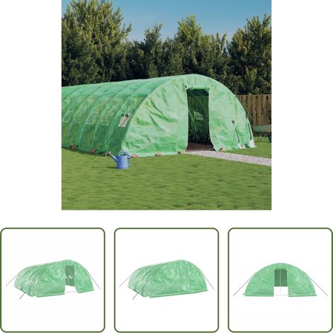 Protection des plantes - Serre avec cadre en acier vert 30 m² 6x5x2,3 m (1/5)