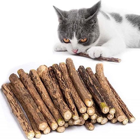 Katzenminze Sticks pour Katzen, Katzenminze Sticks Schleifen von Zähnen (1/5)