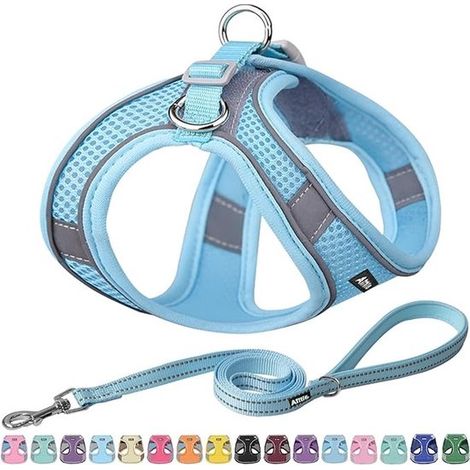 Pettorina di partenza per cani di piccola taglia con guinzaglio. Gilet comodo e sicuro per le passeggiate. (1/5)