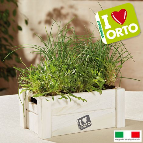 EASY ORTO RUCOLA E ERBA CIPOLLINA