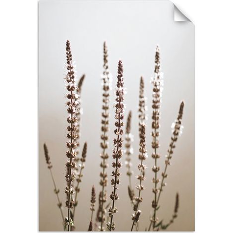 Poster autocollant Plantes séchées nature beige 20x30 (1/3)