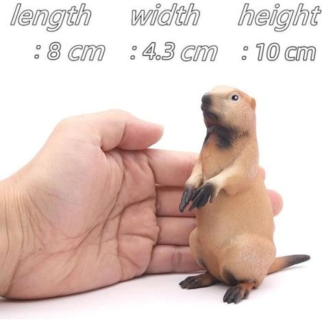 Scultura – Marmotta – Resina – 10 cm – Decorazione per interni ed esterni – Animali carini (1/5)