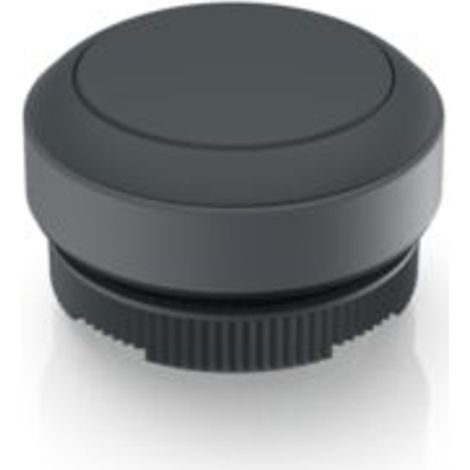 RAFI 1.30.270.001/0101 RAFIX 22 FS Drucktaster tastend (L x B x H) 29.8 x 29.8 x 18.5 mm 1 St.