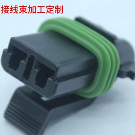 Faisceau de câblage pour connecteur automobile 15300027 à 2 broches (1/3)