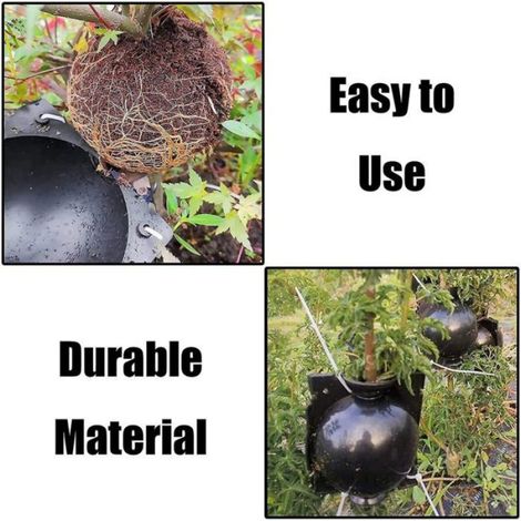 Boule De Propagation - Plastique PP - Pour Enracinement Sur Branche - 12 Pièces (1/5)