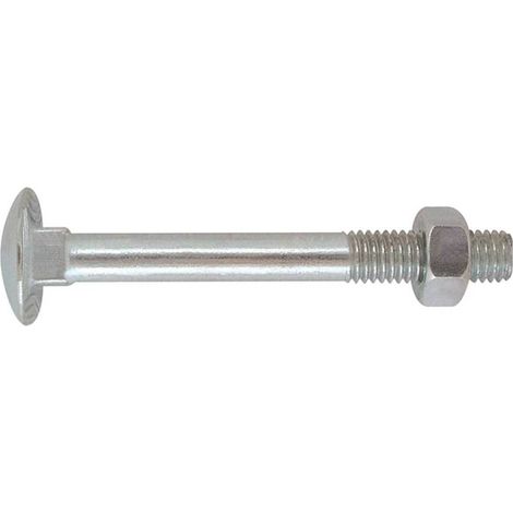 BULLONE ZINCATO TESTA TONDA T.T.Q.S.T.D.E. 12 x 160