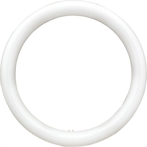 Neon Circolare Disco Lampada Circolina Lampadina 32w G10q 30cm 300mm Luce Fredda