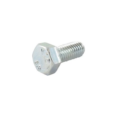 Tornillo M5x12mm GGP - CASTELGARDEN 112789000/0