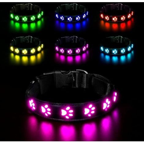 Collier lumineux pour chien étanche – Rechargeable USB – Visibilité 500m – 7 modes d'éclairage – Taille M : 40 à 50 cm (1/5)