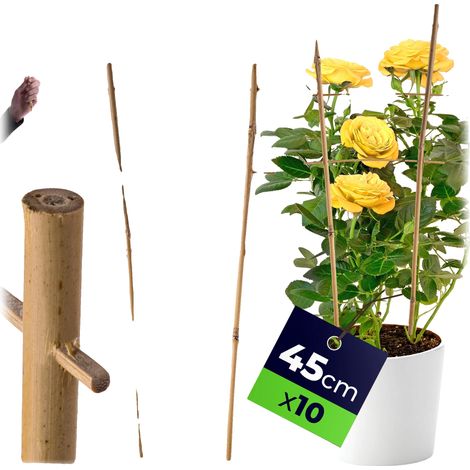 Escalera de soporte para plantas de bambú, 45 cm de alto, 10 piezas, ideal para sostener flores, material natural, fácil de usar. (1/5)