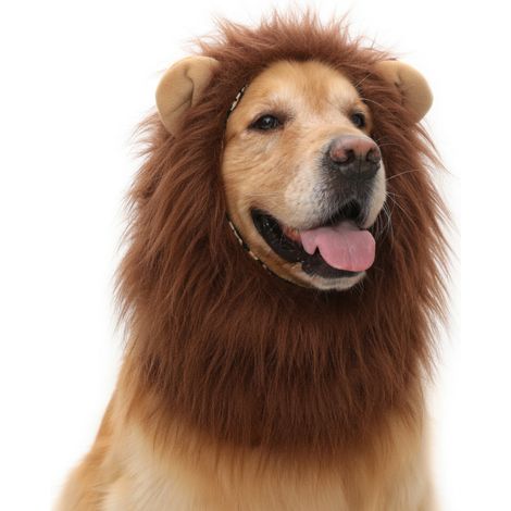 Disfraz de león para mascotas marrón S x 3 modelo 13