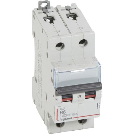 Disjoncteur DX10000 16kA arrivée haute et départ bas à vis 2P 230V~ à 400V~ 6A courbe B 2 modules (408956)
