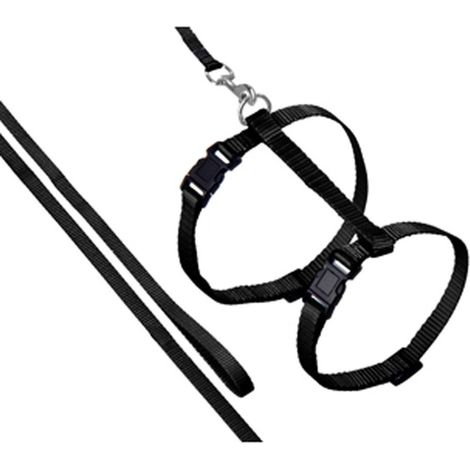 Harnais et laisse de 1.10 mètre couleur noir pour chat, - animallparadise