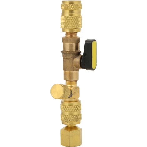 Valves de climatisation à démontage rapide (SAE 1/4 pouce) pour R12, R22 et R410A (1/5)