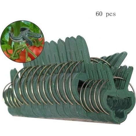 Flower, plant, and vine stem straightening tool. (1/4)
