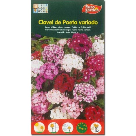 SEMILLAS FITO FLORES CLAVEL DE POETA VARIADO=00544