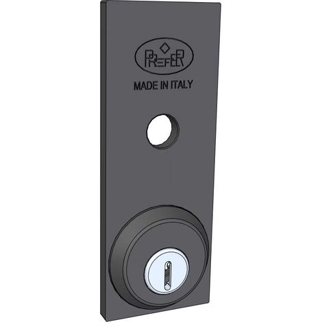 PREFER - Placca di Sicurezza Esterna per Serratura Basculante/Garage , con Ghiera Antitrapano, Verniciata Nera - 16 x 6 x 1,63 cm - 700 grammi
