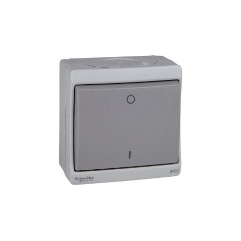 Schneider ENN35033 Mureva - Zweipoliger Schalter - grau - Aufputz - IK07 IP55