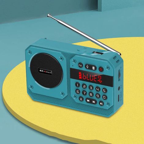 Mini radio FM portable avec récepteur radio haute sensibilité, enceinte Bluetooth HiFi sans fil avec microphone, compatible avec l'enregistrement, la lecture sur carte TF et USB. (1/5)