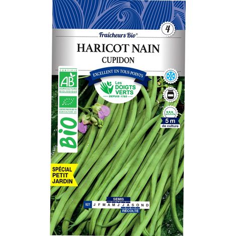 Graines haricot nain cupidon BIO Les Doigts Verts 100g