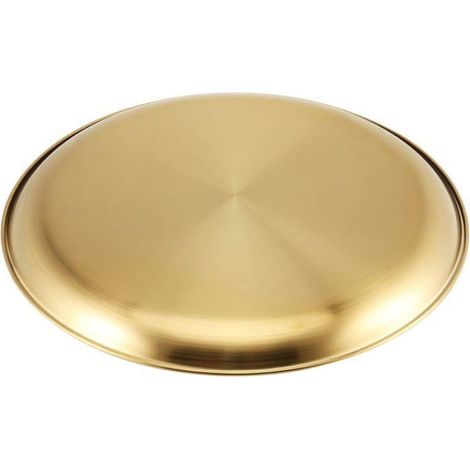 4 Pièces Assiette Ronde en Acier Inoxydable 25 cm Dorée pour Dîner Barbecue Pique-Nique Apéritif Service Alimentaire et Camping La (1/4)