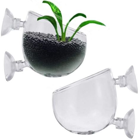 Aquarienpflanzenhalter – Unbekannt – Glastopf – 2 Stück – Saugnapf – Natürliche Dekoration