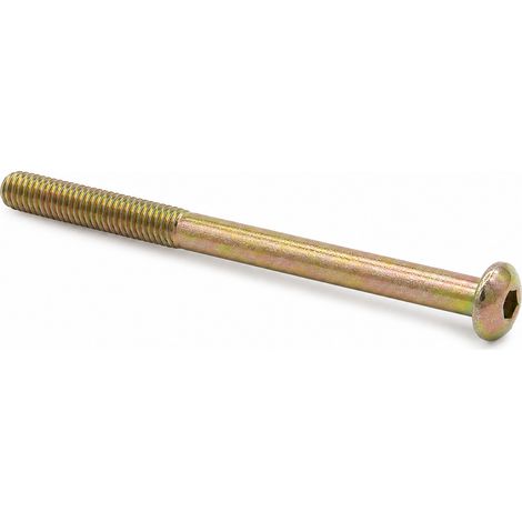 Vis M3x50 10 Tête Ronde six Pans pour Plaque Jaune (1/5)