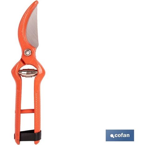 Cisailles de collection forgées de 205 mm, acier forgé, conception ergonomique et durable. (1/4)