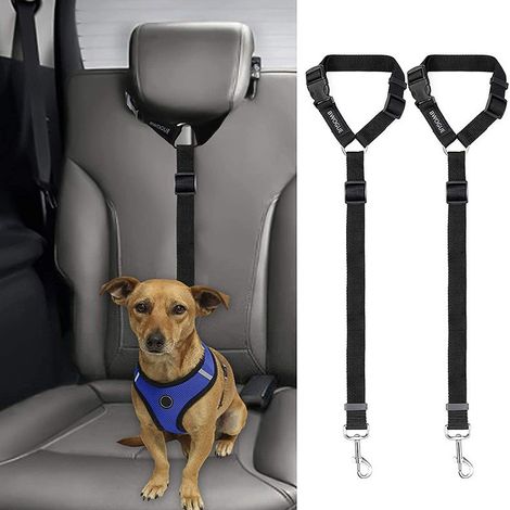 Lot de 2 cordes de remorquage pour voiture pour animaux de compagnie avec sangles de sécurité réglables
