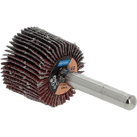 Disco de láminas en varilla R207Plus 25x20x6 P60 (Pack de 10)