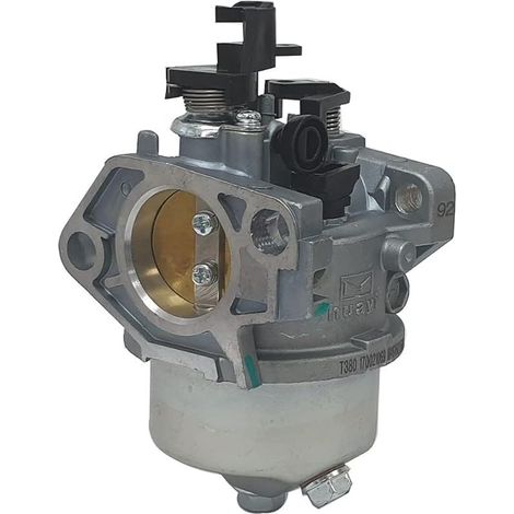 Carburateur pour tracteurs Mountfield, Stiga, Alpina, ATCO, TRE 0801,16 HP 452CC (1/4)