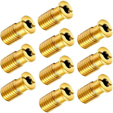Ersatzset mit 10 Messing-Ankerschrauben für Poolabdeckungen, kompatibel mit Sicherheitsankern für Betonpoolabdeckungen. (1/5)